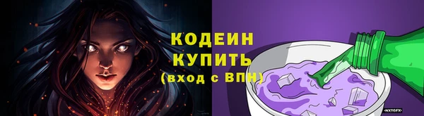 винт Щигры