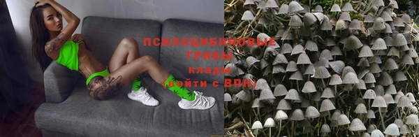 винт Кинешма