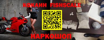 гидра Гай