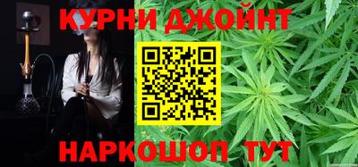 гидра Гай