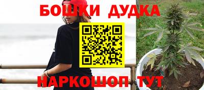 гидра Гай