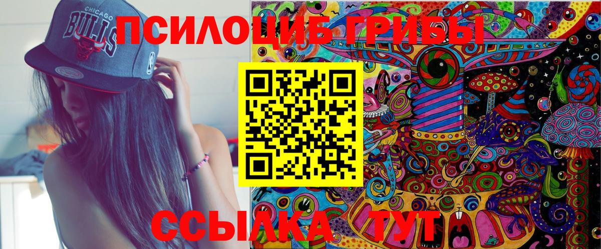 Псилоцибиновые грибы мицелий  Черкесск 