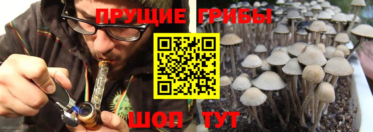 Галлюциногенные грибы MAGIC MUSHROOMS  Вход с VPN  Черкесск 